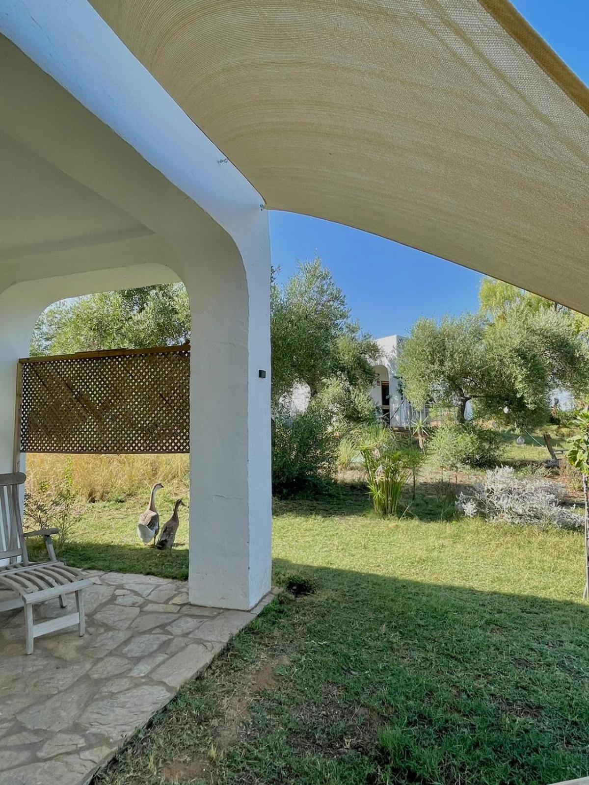 Bungalow -Escapadas En Аркос де ла Фронтера Экстерьер фото